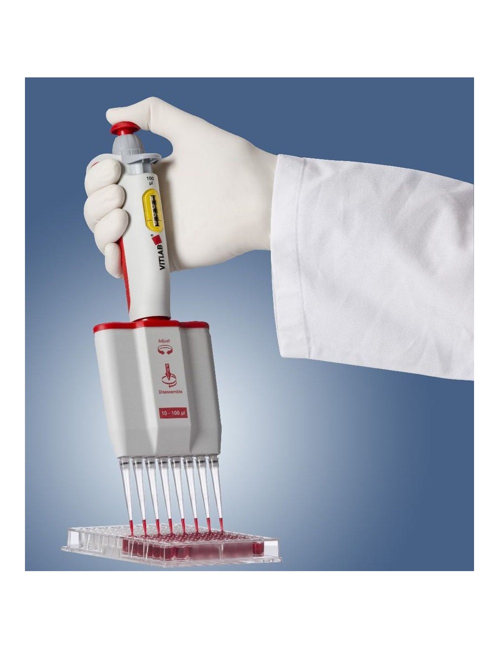 VITLAB MICROPIPETTE 8 CANAUX / 30 - 300 µL