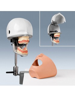 DISPOSITIF EXERCICE DENTAIRE COMPLET AVEC MODELE 32 DENTS